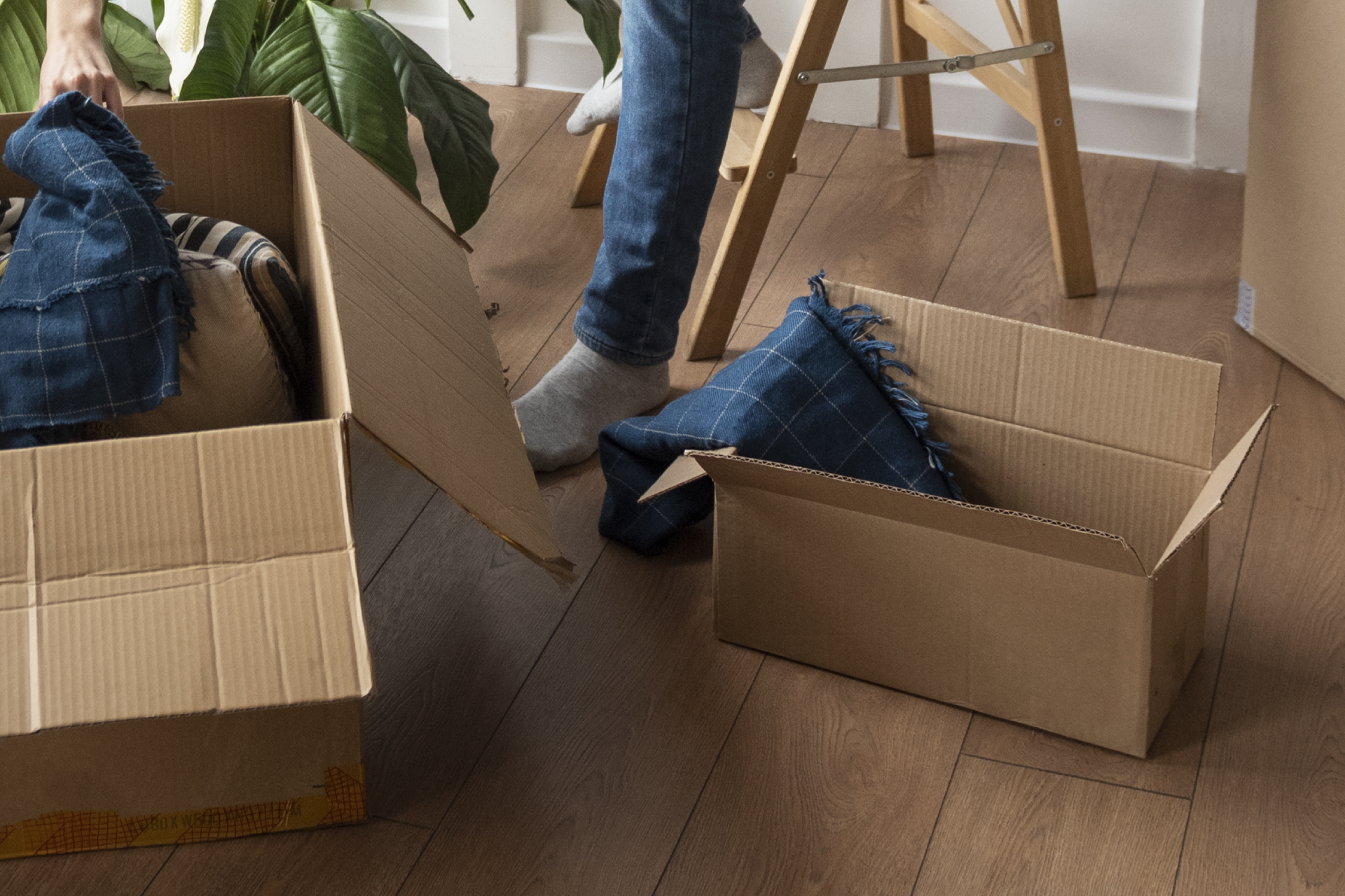 Budget-Friendly SPC Flooring Options That Don’t Look Cheap